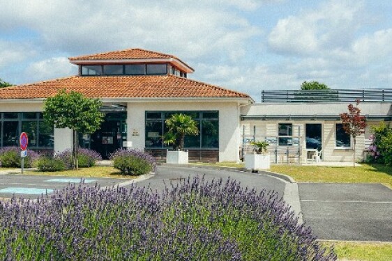 Les Baccharis